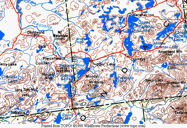 TOPO map of TUPPER LAKE area